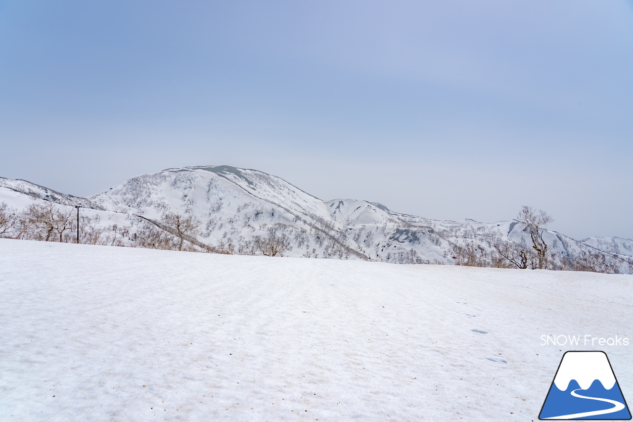 キロロリゾート｜初夏の陽気に耐えて、何とかGWまで持ってくれたキロロの雪…。さぁ、キロロゴンドラに乗って、山頂から山麓まで続く全長4,000ｍ超のロングランを楽しみましょう！